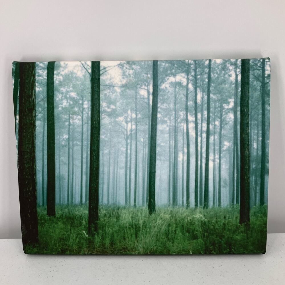 Home Photography Canvas Print Artist Signed Beaufort South Carolina Forest Trees